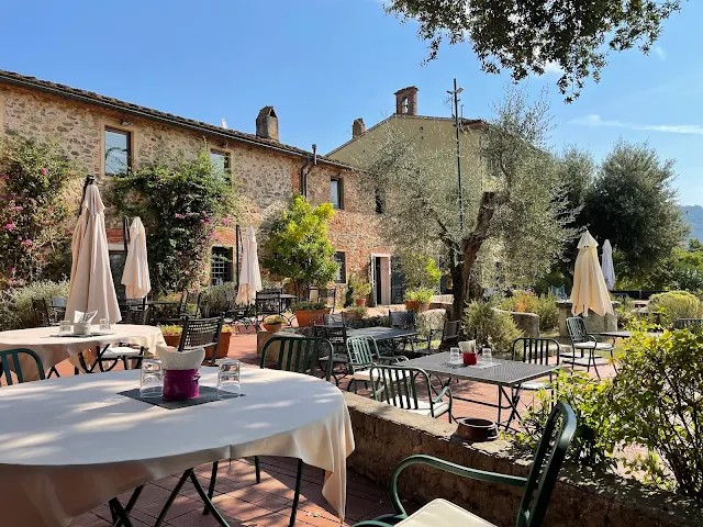 Clubhouse restaurant terrace under the olive trees